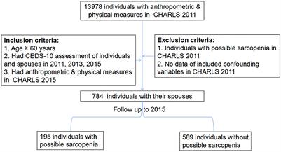 The longitudinal association between possible new sarcopenia and the depression trajectory of individuals and their intimate partners